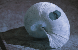 Shellshock-Angriffe sind wieder auf dem Vormarsch – was Sie jetzt wissen müssen